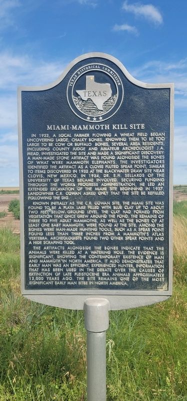 Miami-Mammoth kill site Marker. Click for full size. Miami-Mammoth kill site Marker image. Click for full size.