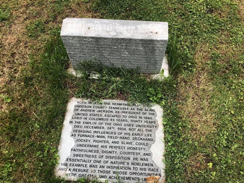 Washington Townsend Marker. Click for full size. Washington Townsend Marker image. Click for full size.