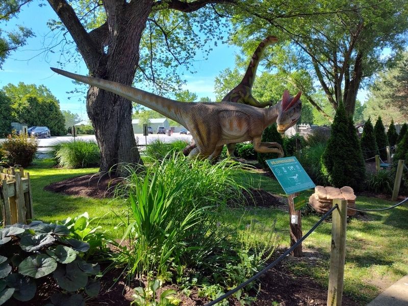 Dilophosaurus Marker. Click for full size. Dilophosaurus Marker image. Click for full size.