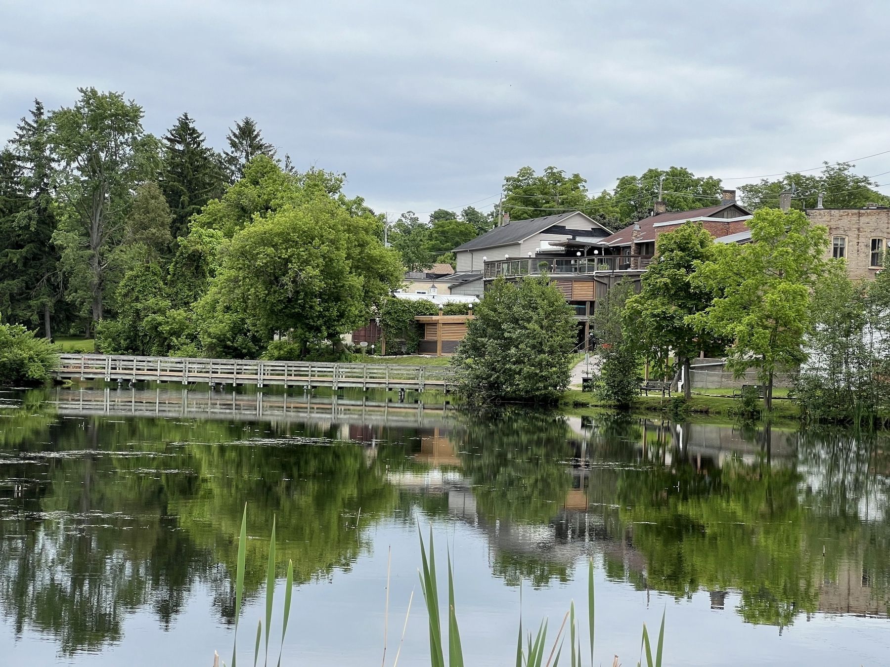 Watson�s Pond, from the dam image. Click for full size.