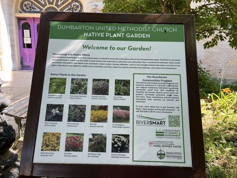 Dumbarton United Methodist Church Native Plant Garden signage. Click for full size. Dumbarton United Methodist Church Native Plant Garden signage image. Click for full size.