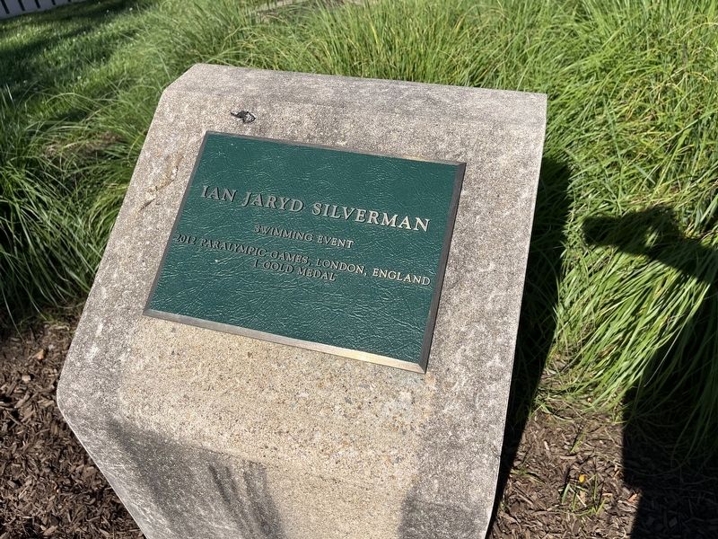 Ian Jaryd Silverman plaque image. Click for full size.