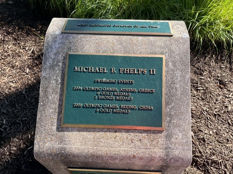 Michael Phelps plaques (top) image. Click for full size.