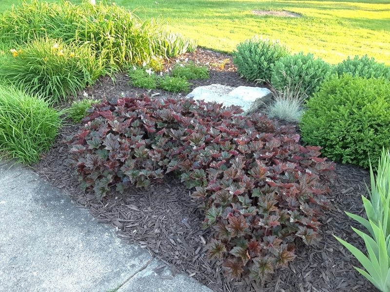 Markert Memorial Gardens Beds Detail. Click for full size. Markert Memorial Gardens Beds Detail image. Click for full size.