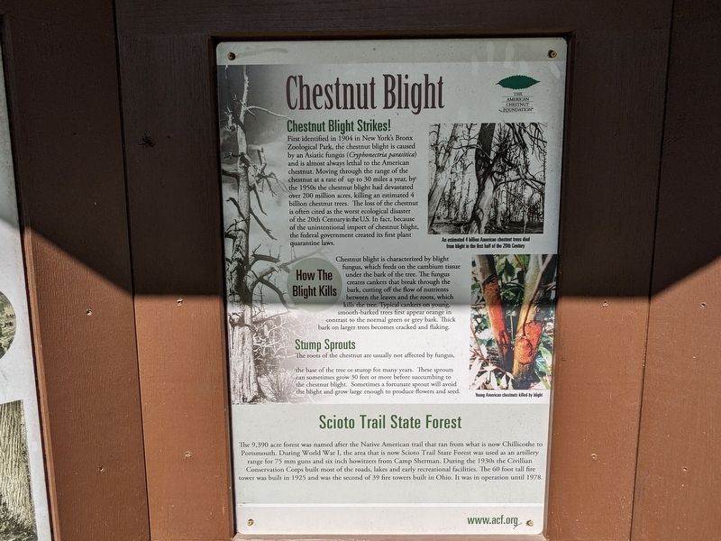 The American Chestnut Marker image. Click for full size.