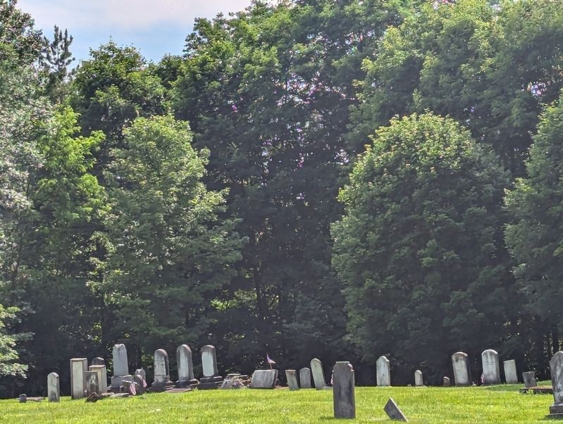 Patriot Burials view of gravesites image. Click for full size.