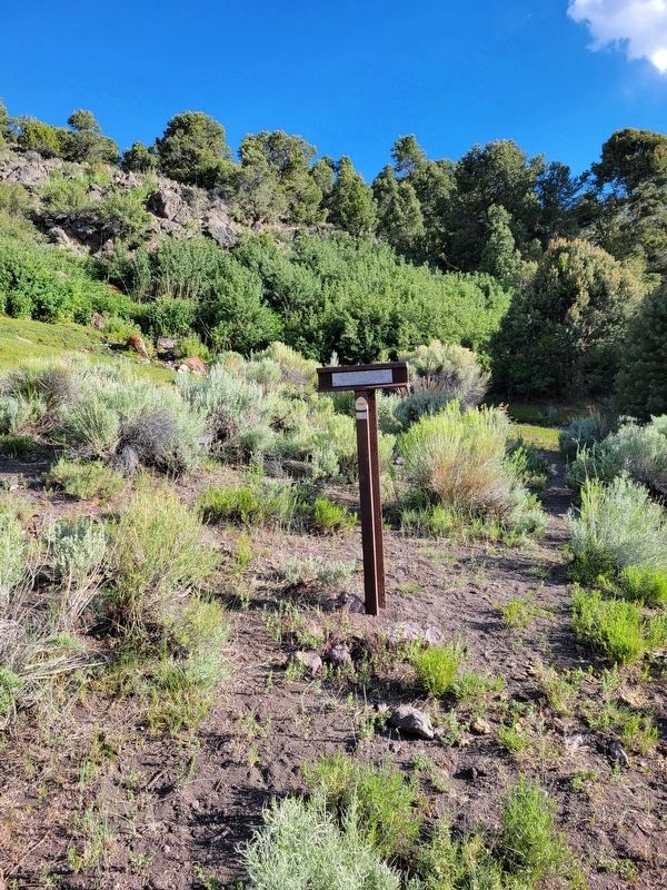 Central Overland Trail - Rock Springs Marker. Click for full size. Central Overland Trail - Rock Springs Marker image. Click for full size.