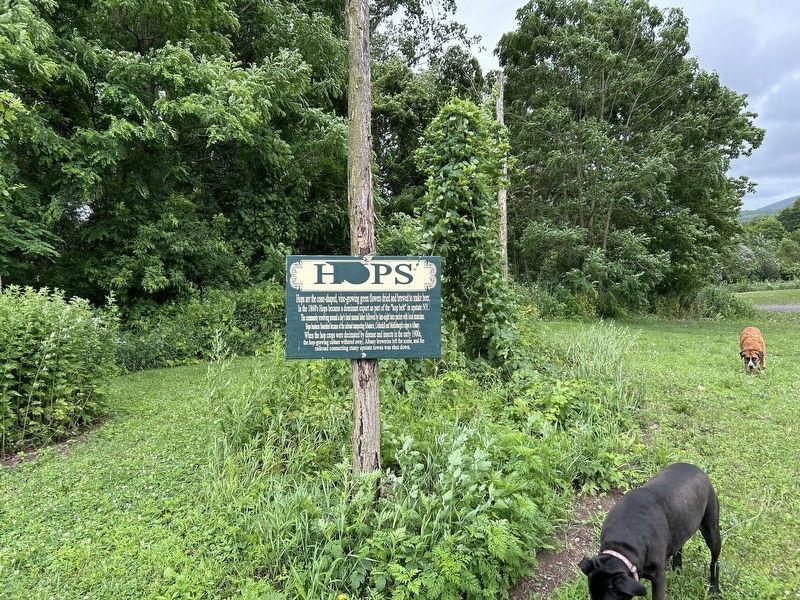 Hops Marker. Click for full size. Hops Marker image. Click for full size.