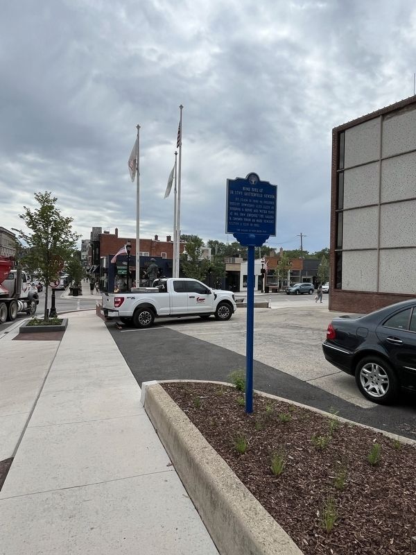 Home Site of Dr. Lewy Quitterfeild Newton Marker image. Click for full size.