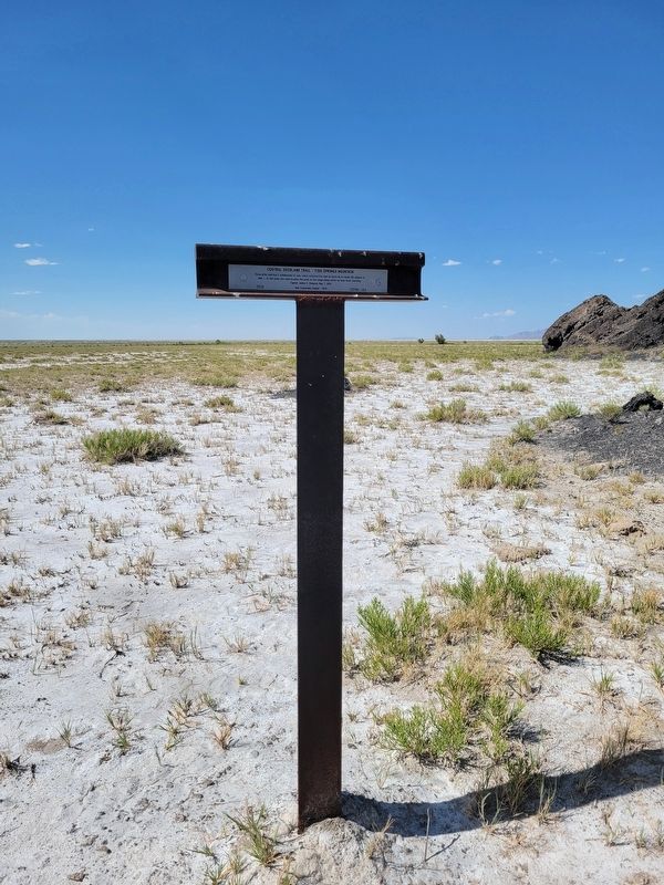 Central Overland Trail - Fish Springs Mountain Marker. Click for full size. Central Overland Trail - Fish Springs Mountain Marker image. Click for full size.
