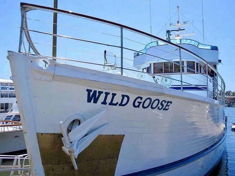 The Wild Goose image. Click for full size.