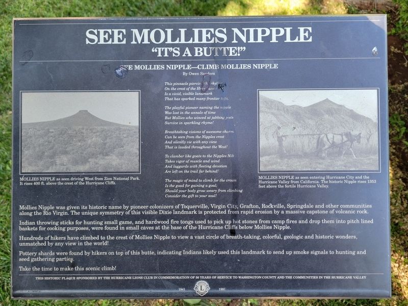 See Mollies Nipple Marker image. Click for full size.