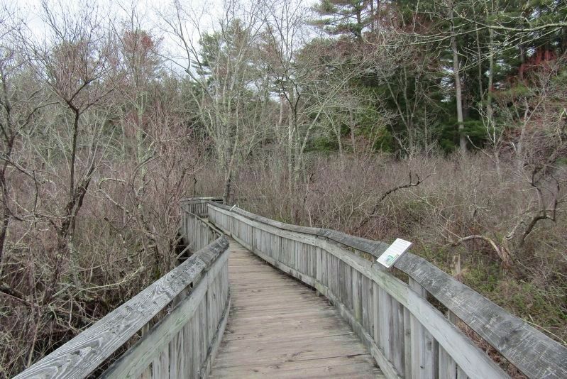 Wildermann Boardwalk Marker image. Click for full size.