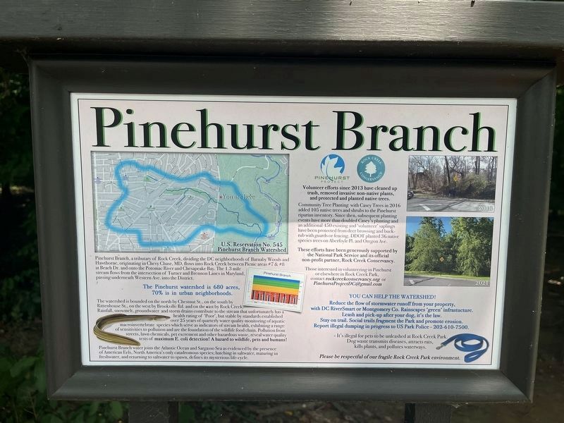 Pinehust Branch Marker image. Click for full size.