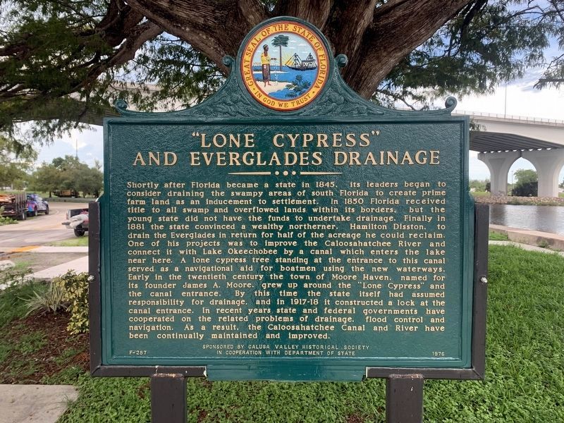 "Lone Cypress" and Everglades Drainage Marker image. Click for full size.