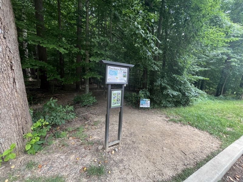 Pinehust Branch Marker image. Click for full size.
