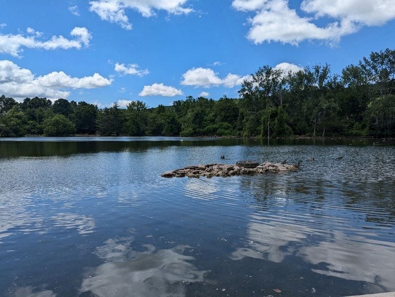 A view of Webster Pond image. Click for full size.