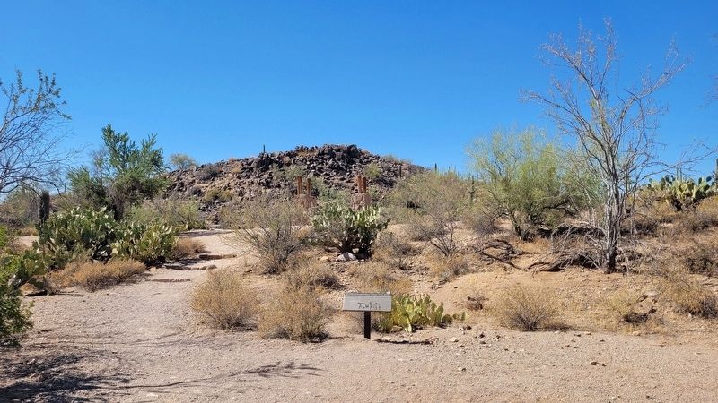 Civilian Conservation Corps (The CCC) Marker. Click for full size. Civilian Conservation Corps (The CCC) Marker image. Click for full size.
