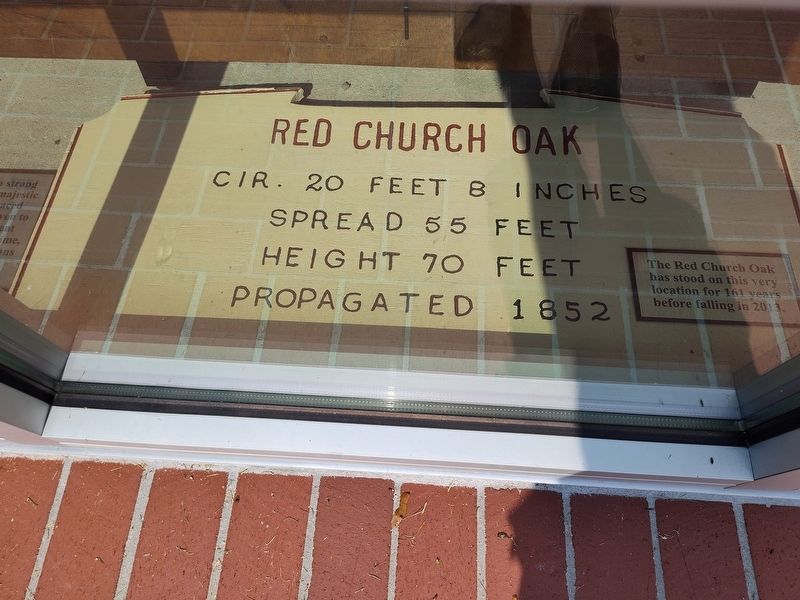 Red Church Oak Marker. Click for full size. Red Church Oak Marker image. Click for full size.