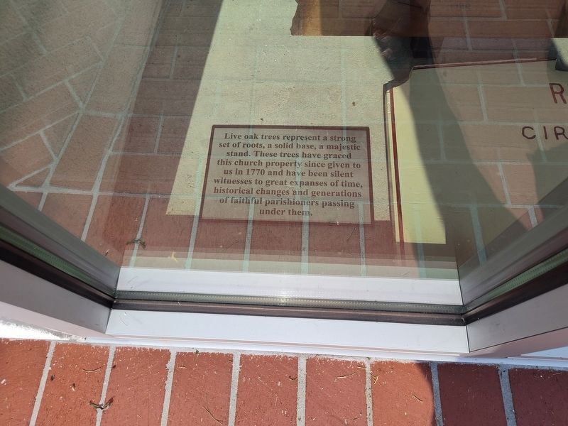 Red Church Oak Marker. Click for full size. Red Church Oak Marker image. Click for full size.