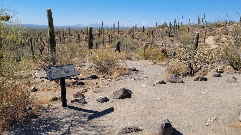 Historic Period Marker. Click for full size. Historic Period Marker image. Click for full size.