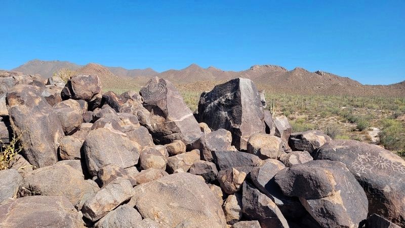 The petroglyphs on Signal Hill. Click for full size. The petroglyphs on Signal Hill image. Click for full size.