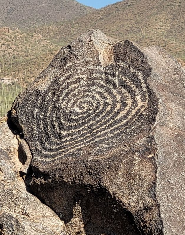 Spiral Petroglyph. Click for full size. Spiral Petroglyph image. Click for full size.
