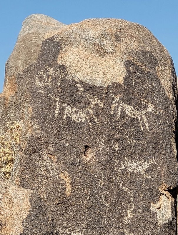 Petroglyphs on Signal Hill. Click for full size. Petroglyphs on Signal Hill image. Click for full size.