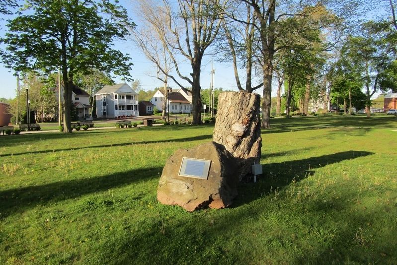 Edward "Jack" Jackowicz Sr. Marker. Click for full size. Edward "Jack" Jackowicz Sr. Marker image. Click for full size.