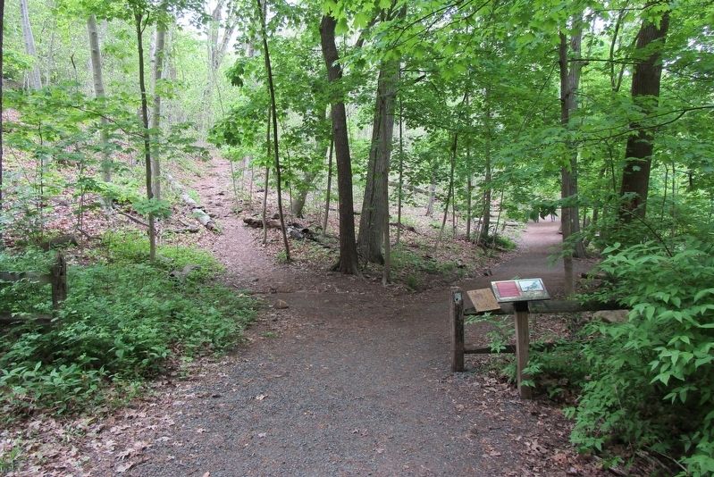 1882 The Park Marker image. Click for full size.