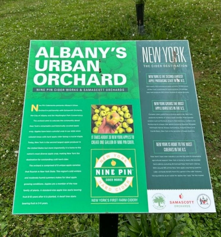 Albany's Urban Orchard Marker image. Click for full size.