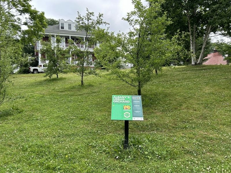 Albany's Urban Orchard Marker image. Click for full size.