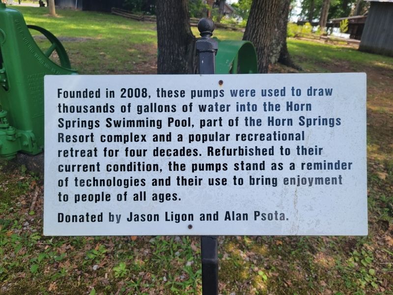 Horn Springs Swimming Pool Pumps Marker image. Click for full size.