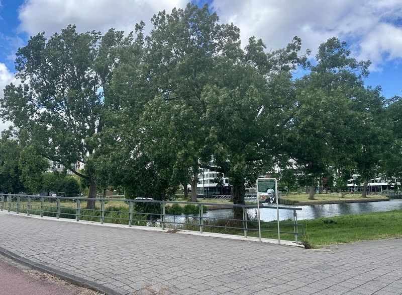 Willem Hovy Bridge and Marker. Click for full size. Willem Hovy Bridge and Marker image. Click for full size.