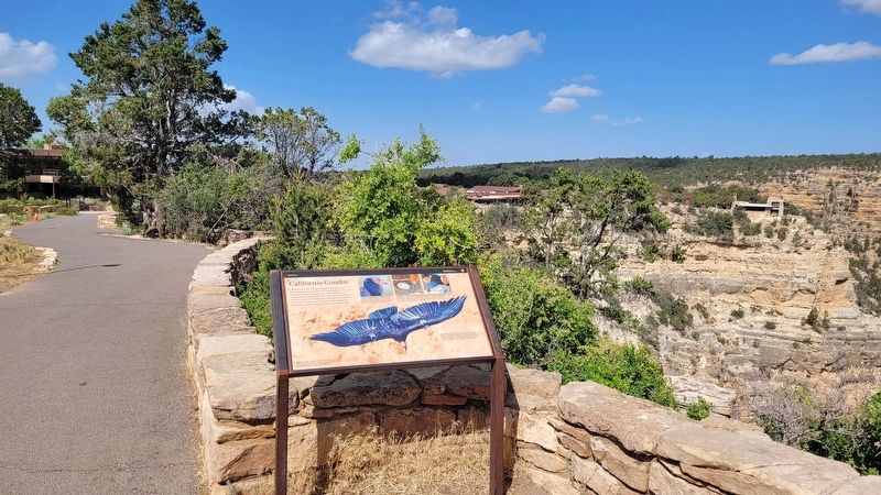 The California Condor Marker along the rim trail image. Click for full size.