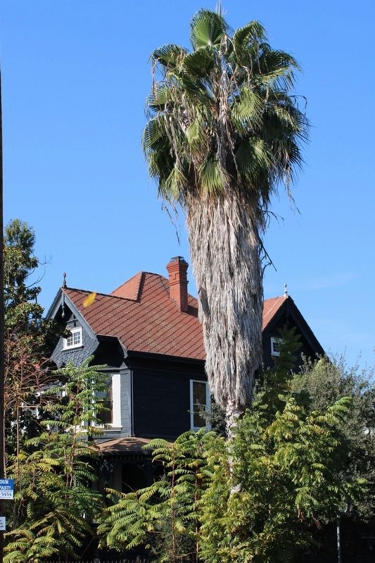 Dr. Cross House. Click for full size. Dr. Cross House image. Click for full size.