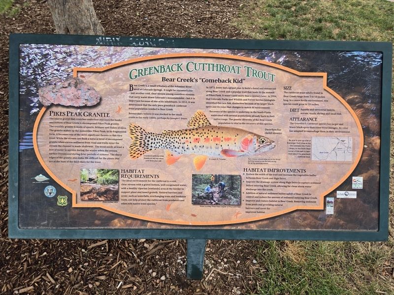 Greenback Cutthroat Trout Marker image. Click for full size.