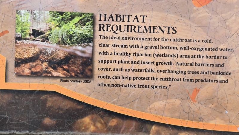 Habitat requirements (lower left) image. Click for full size.