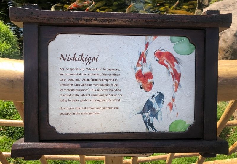 Nishikigoi Marker. Click for full size. Nishikigoi Marker image. Click for full size.