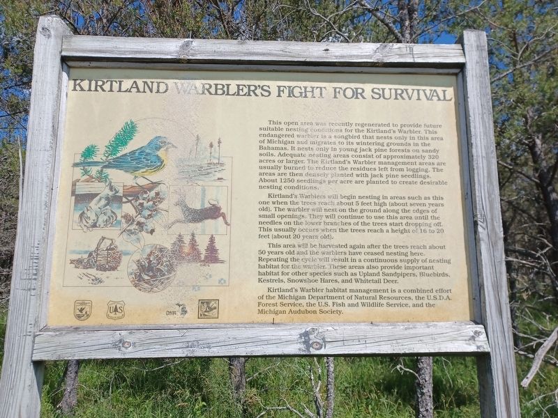 Kirtland Warbler's Fight for Survival Marker. Click for full size. Kirtland Warbler's Fight for Survival Marker image. Click for full size.
