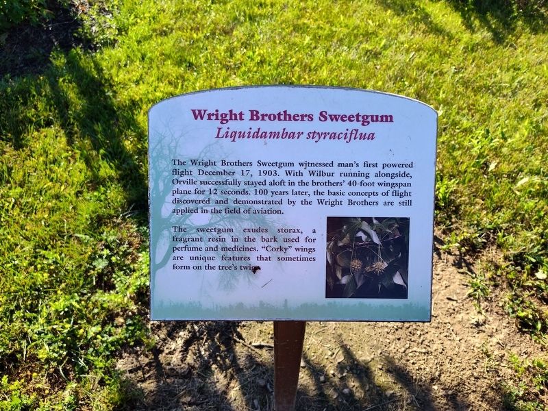Wright Brothers Sweetgum Marker image. Click for full size.