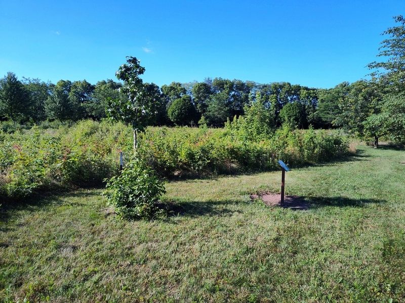 Wright Brothers Sweetgum Marker image. Click for full size.