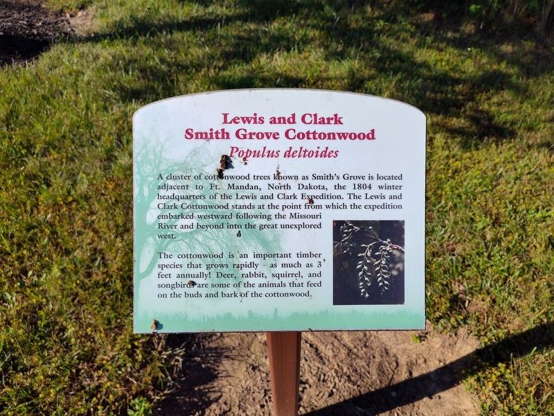 Lewis and Clark Smith Grove Cottonwood Marker. Click for full size. Lewis and Clark Smith Grove Cottonwood Marker image. Click for full size.