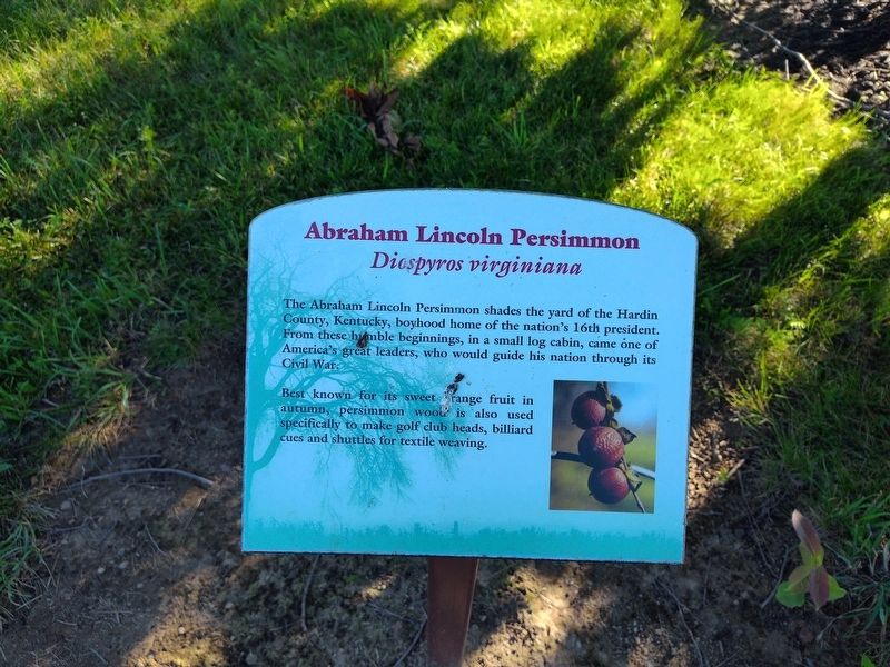 Abraham Lincoln Persimmon Marker. Click for full size. Abraham Lincoln Persimmon Marker image. Click for full size.