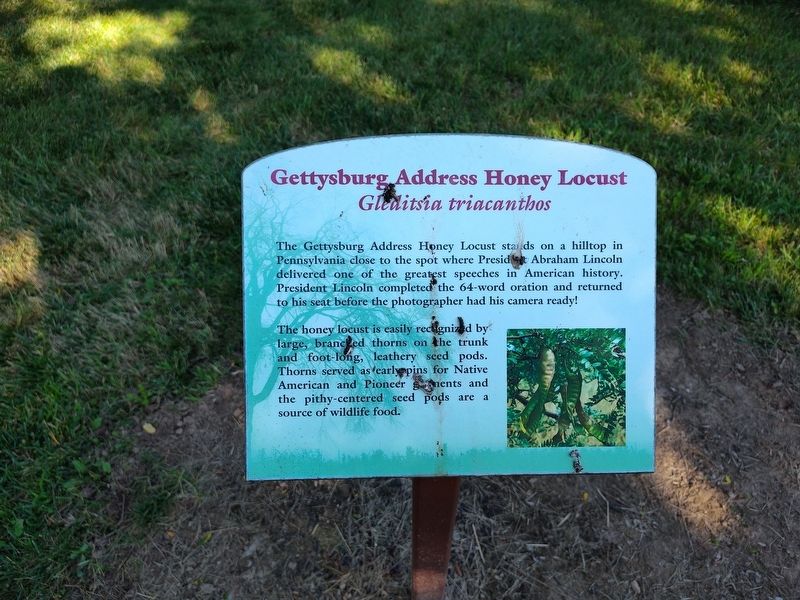 Gettysburg Address Honey Locust Marker. Click for full size. Gettysburg Address Honey Locust Marker image. Click for full size.
