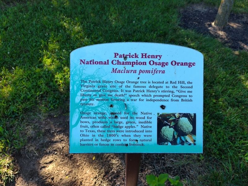 Patrick Henry National Champion Osage Orange Marker, Side One image. Click for full size.