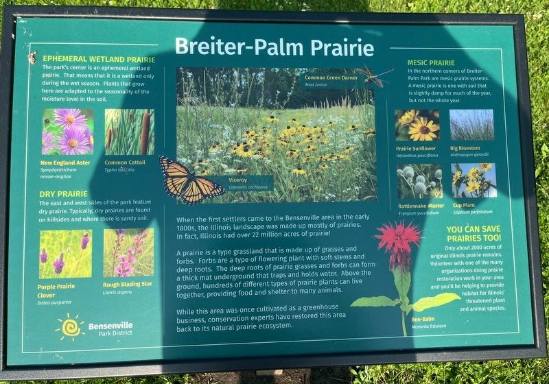 Breiter-Palm Prairie Marker image. Click for full size.