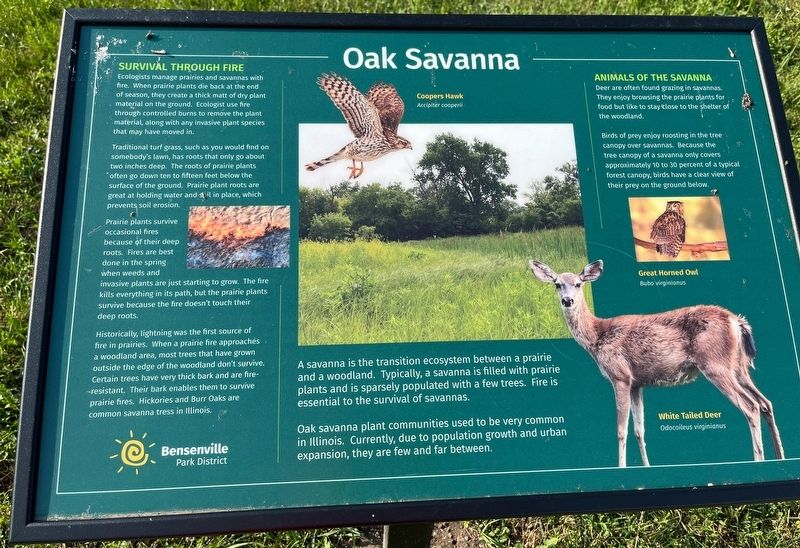 Oak Savanna Marker. Click for full size. Oak Savanna Marker image. Click for full size.
