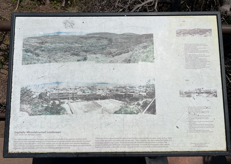 Digitally Reconstructed Landscape Marker image. Click for full size.