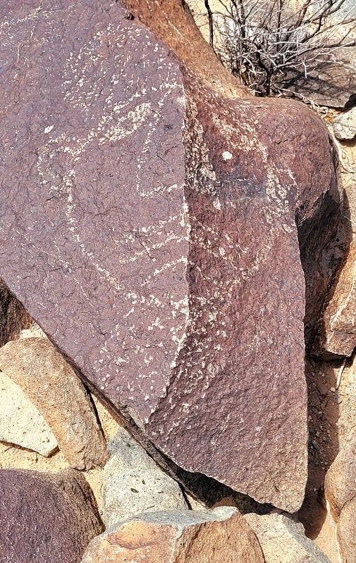 Petroglyph along the hiking trail image. Click for full size.